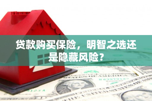 丽水贷款购买保险，明智之选还是隐藏风险？