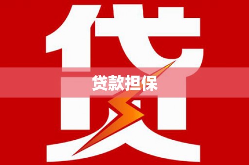 丽水贷款担保