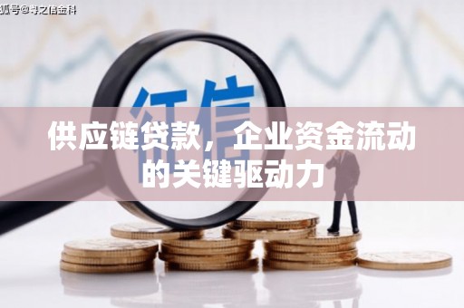 丽水供应链贷款，企业资金流动的关键驱动力