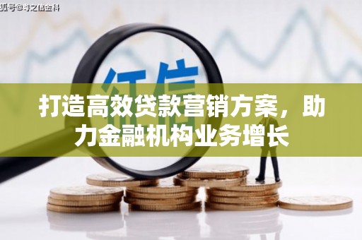 丽水打造高效贷款营销方案，助力金融机构业务增长