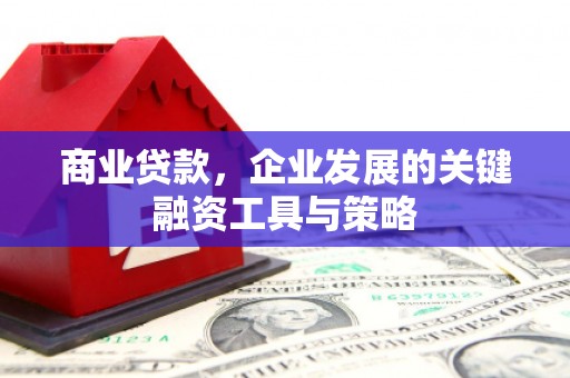 丽水商业贷款，企业发展的关键融资工具与策略