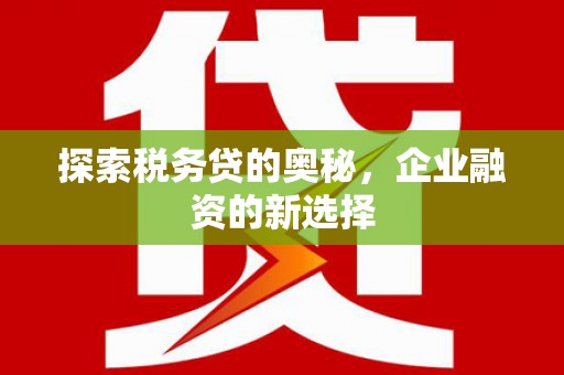 丽水探索税务贷的奥秘，企业融资的新选择