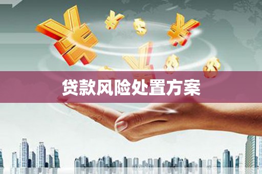 丽水贷款风险处置方案