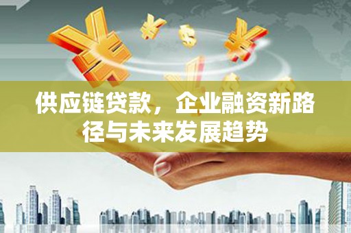 丽水供应链贷款，企业融资新路径与未来发展趋势