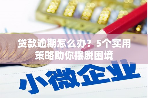 丽水贷款逾期怎么办？5个实用策略助你摆脱困境