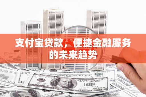 丽水支付宝贷款，便捷金融服务的未来趋势