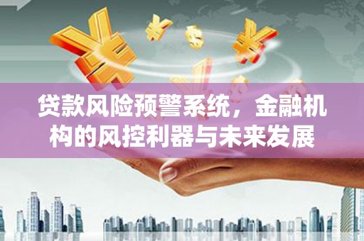 丽水贷款风险预警系统，金融机构的风控利器与未来发展