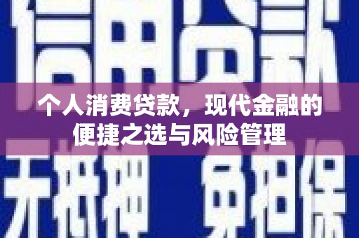 丽水个人消费贷款，现代金融的便捷之选与风险管理