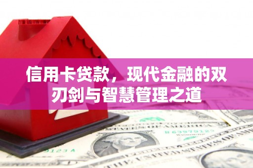 丽水信用卡贷款，现代金融的双刃剑与智慧管理之道