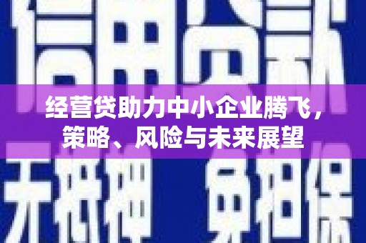 丽水经营贷助力中小企业腾飞，策略、风险与未来展望