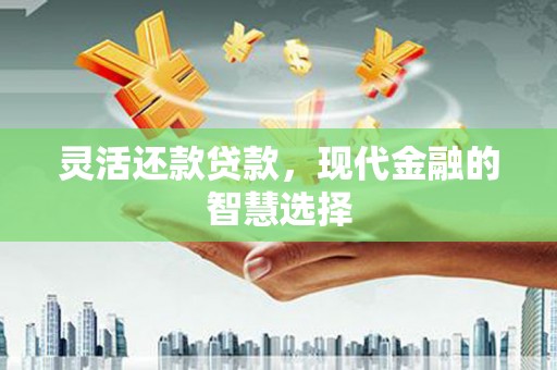 丽水灵活还款贷款，现代金融的智慧选择