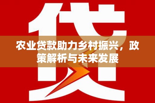 丽水农业贷款助力乡村振兴，政策解析与未来发展