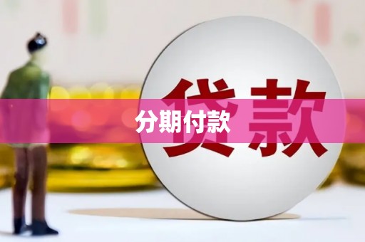 丽水分期付款
