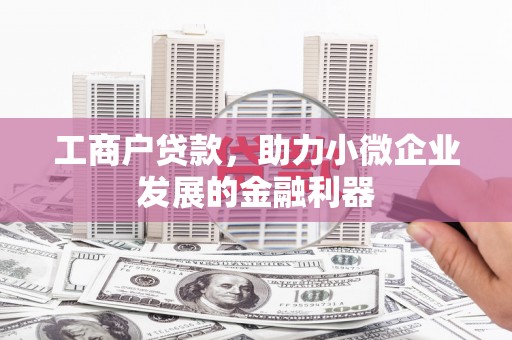 丽水工商户贷款，助力小微企业发展的金融利器