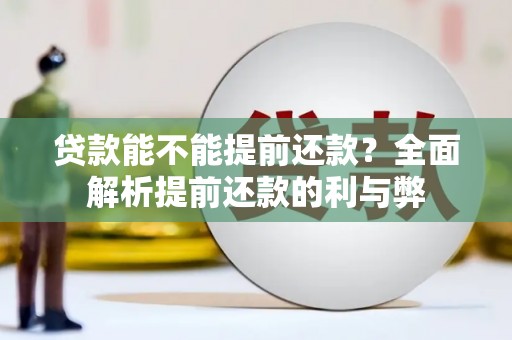 丽水贷款能不能提前还款？全面解析提前还款的利与弊