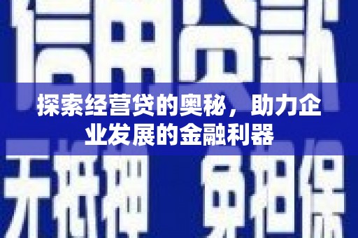 丽水探索经营贷的奥秘，助力企业发展的金融利器
