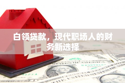 丽水白领贷款，现代职场人的财务新选择