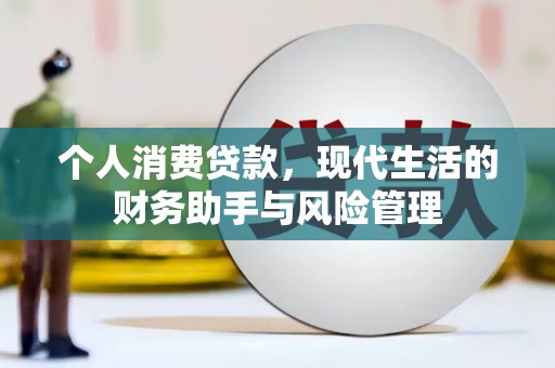 丽水个人消费贷款，现代生活的财务助手与风险管理