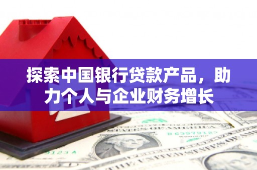 丽水探索中国银行贷款产品，助力个人与企业财务增长