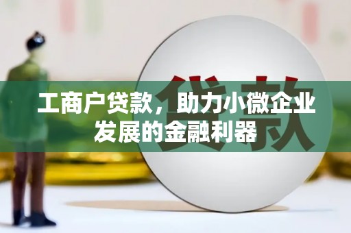 丽水工商户贷款，助力小微企业发展的金融利器