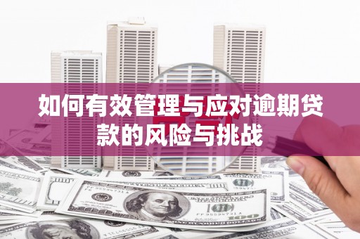 丽水如何有效管理与应对逾期贷款的风险与挑战