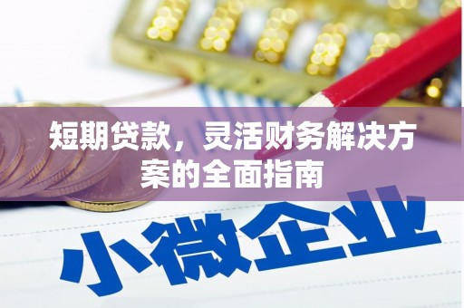 丽水短期贷款，灵活财务解决方案的全面指南