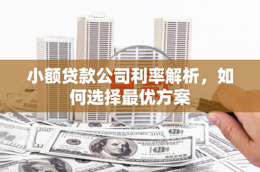 丽水小额贷款公司利率解析，如何选择最优方案