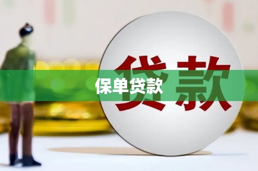 丽水保单贷款