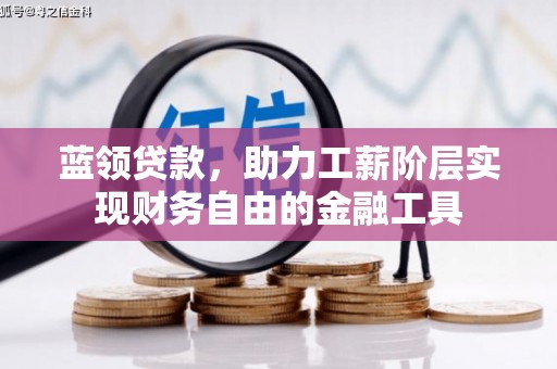 丽水蓝领贷款，助力工薪阶层实现财务自由的金融工具