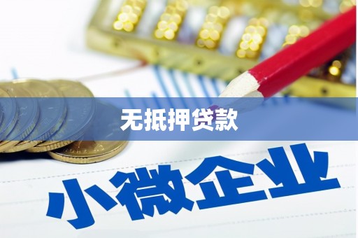 丽水无抵押贷款