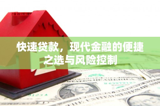 丽水快速贷款，现代金融的便捷之选与风险控制