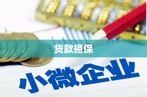 丽水贷款担保