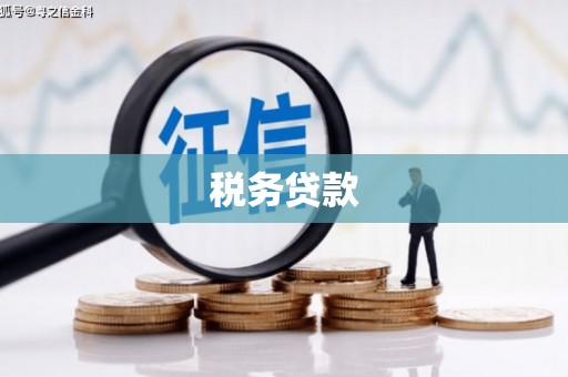 丽水税务贷款