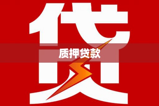丽水质押贷款