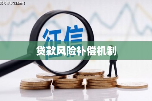 丽水贷款风险补偿机制
