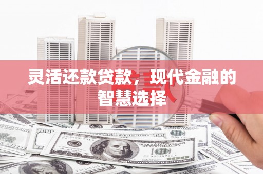 丽水灵活还款贷款，现代金融的智慧选择
