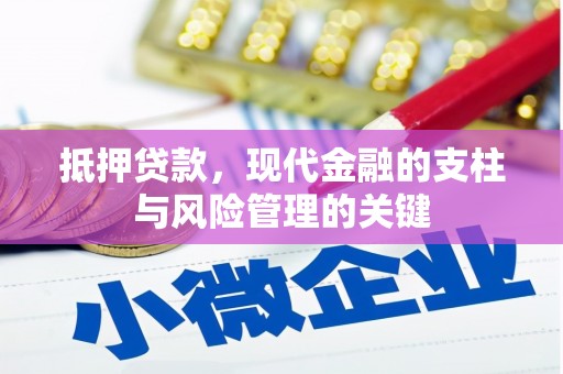 丽水抵押贷款，现代金融的支柱与风险管理的关键