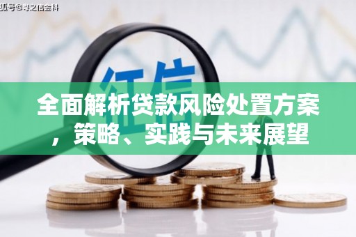 丽水全面解析贷款风险处置方案，策略、实践与未来展望