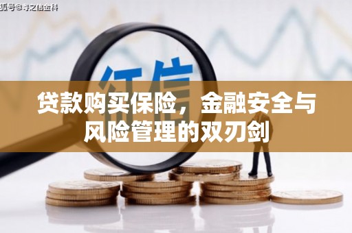 丽水贷款购买保险，金融安全与风险管理的双刃剑