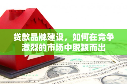 丽水贷款品牌建设，如何在竞争激烈的市场中脱颖而出