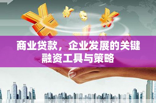 丽水商业贷款，企业发展的关键融资工具与策略