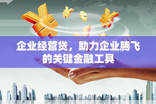 丽水企业经营贷，助力企业腾飞的关键金融工具