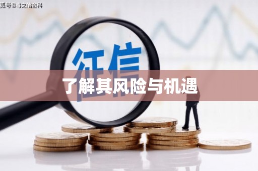 丽水了解其风险与机遇