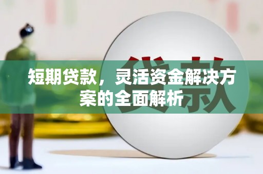 丽水短期贷款，灵活资金解决方案的全面解析