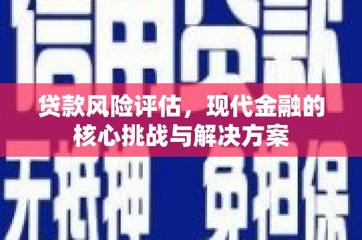 丽水贷款风险评估，现代金融的核心挑战与解决方案