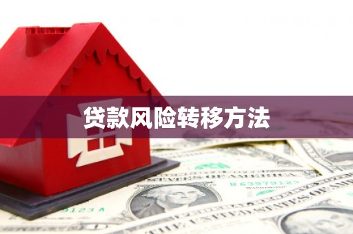 丽水贷款风险转移方法