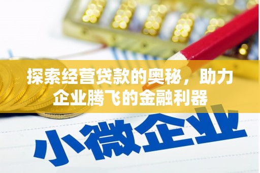 丽水探索经营贷款的奥秘，助力企业腾飞的金融利器