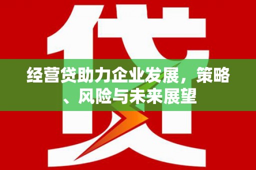 丽水经营贷助力企业发展，策略、风险与未来展望