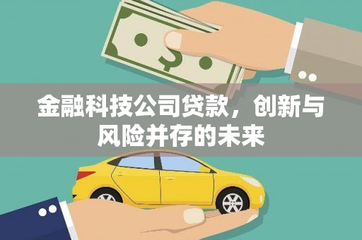 丽水金融科技公司贷款，创新与风险并存的未来