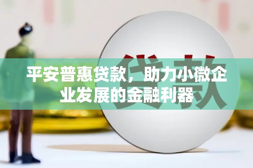 丽水平安普惠贷款，助力小微企业发展的金融利器